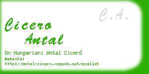 cicero antal business card